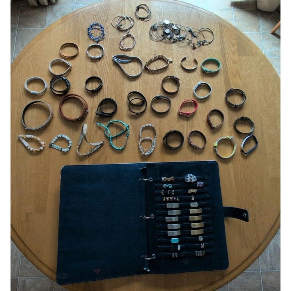 Keep Collective Jewelry Huge Lot! 81 Charms, Binder, 30 Charm Bracelts, 13 Othrs